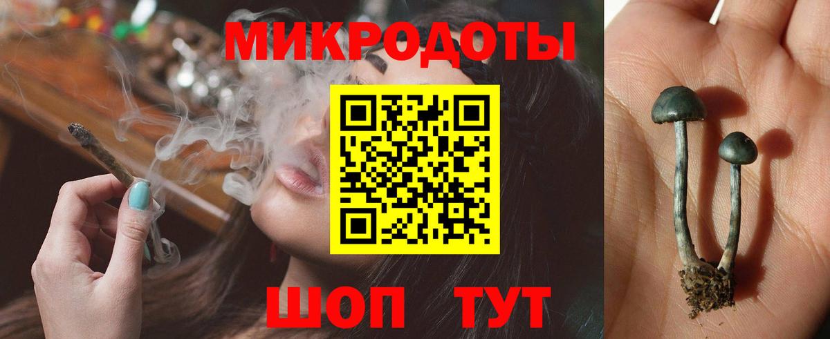Псилоцибиновые грибы Cubensis  Галлюциногенные грибы ЛСД  Заволжье  Вход с VPN 